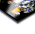 20231231 1339460 25 Acrylic print