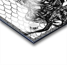 PSX 20240722 180818 Acrylic print