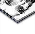 20240630 221230 3 Acrylic print