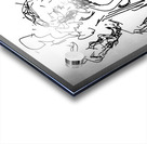 20241126 230644 3 Acrylic print