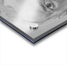 Sketch Portrait | Marc Melis Acrylic print