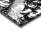 PSX 20250323 002447 Acrylic print