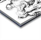 PSX 20241128 004551 Acrylic print