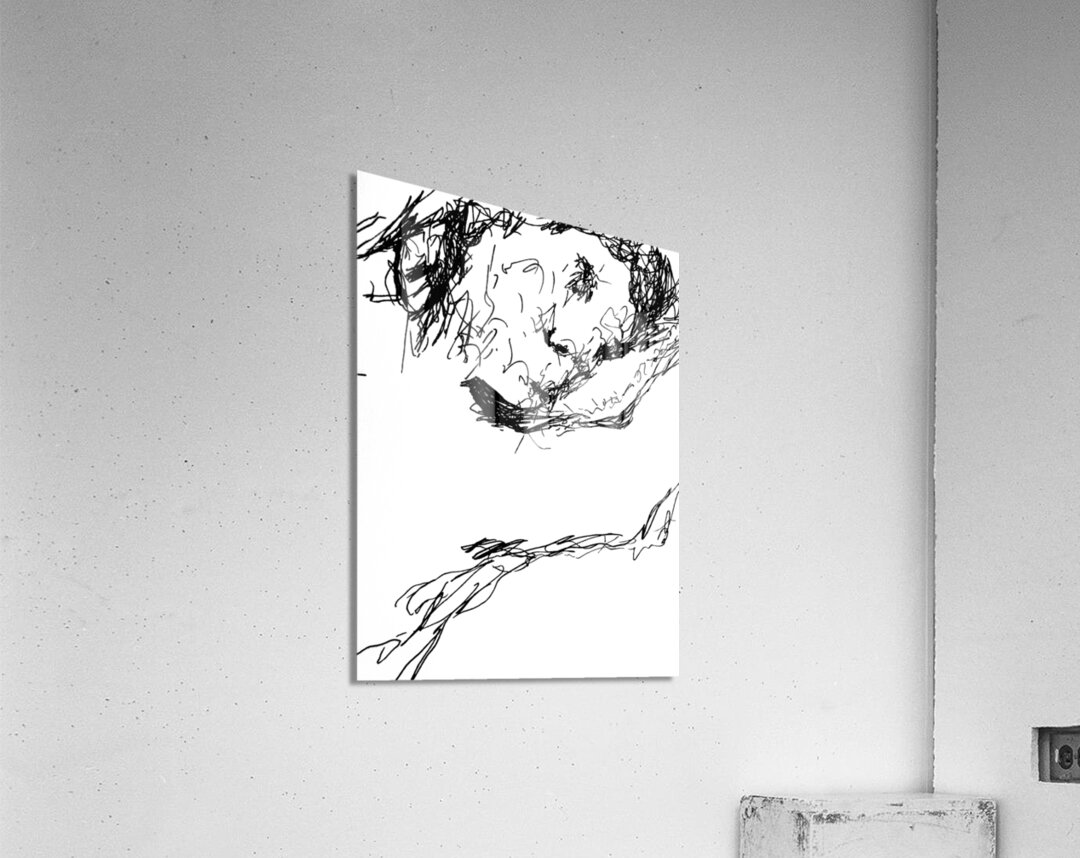 PSX 20241220 032723 Acrylic Print