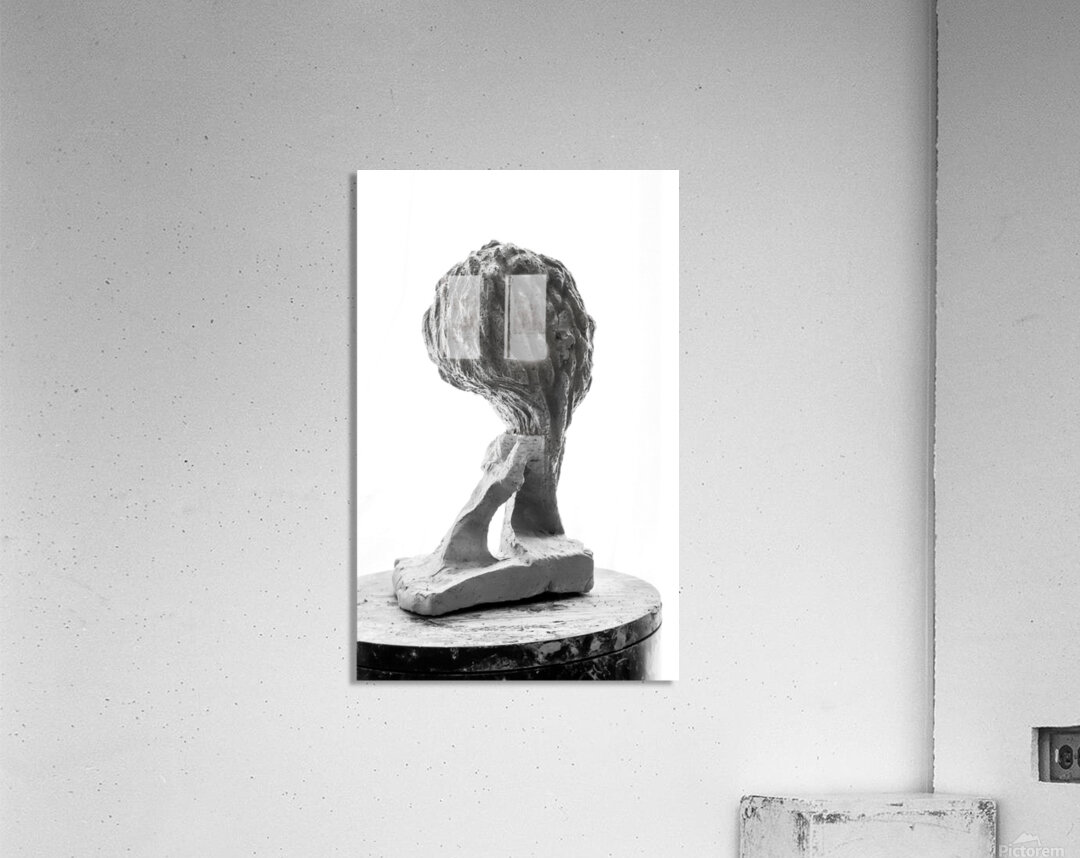 PSX 20250821 144939 Acrylic Print