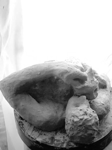 Beloved Companion 2 - 1