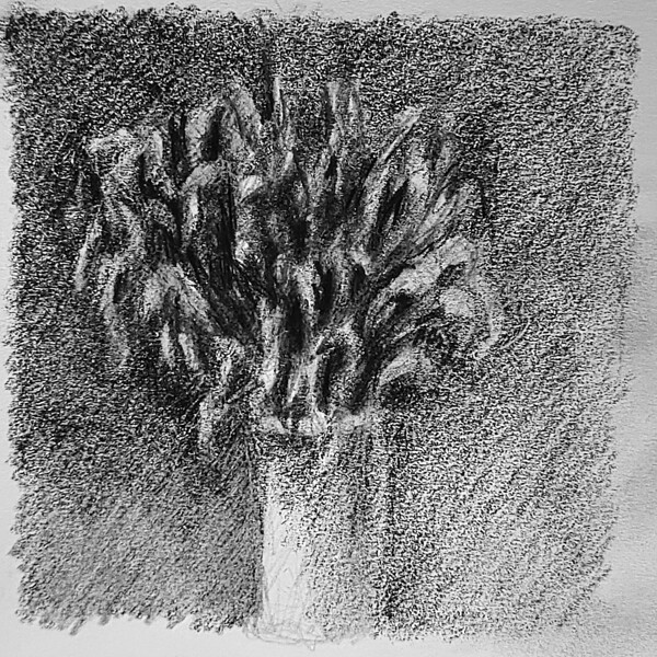 20230716 231718 2   Copy Print