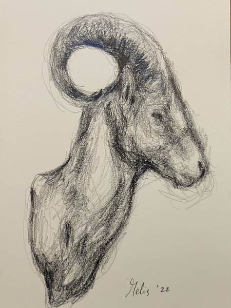 20220707 112037 Print