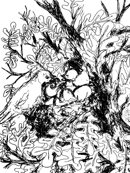 20240125 205643 3   Copy Print