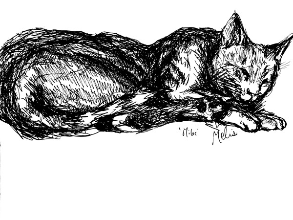 20240520 0157390 2 Print