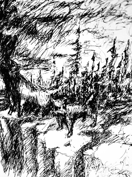 20230716 231807 2   Copy Print