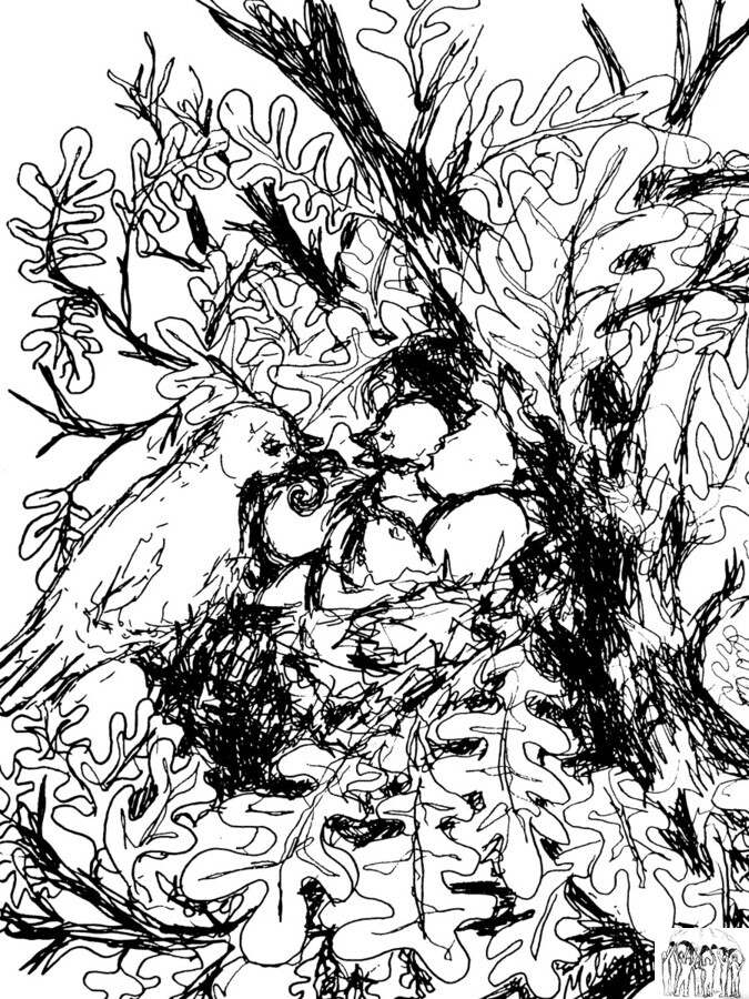 20240125 205643 3   Copy  Print