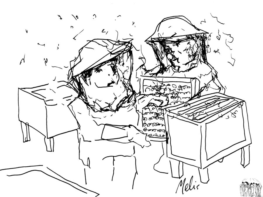 20240331 023501 2  Print