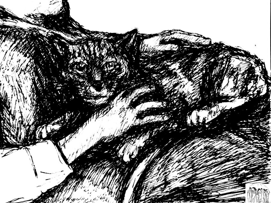 20240307 210517 3  Imprimer