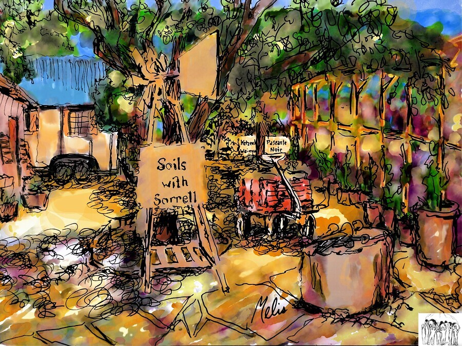 3 by 4 aspect ratio --- original jpg from photo of black and white micron  Print