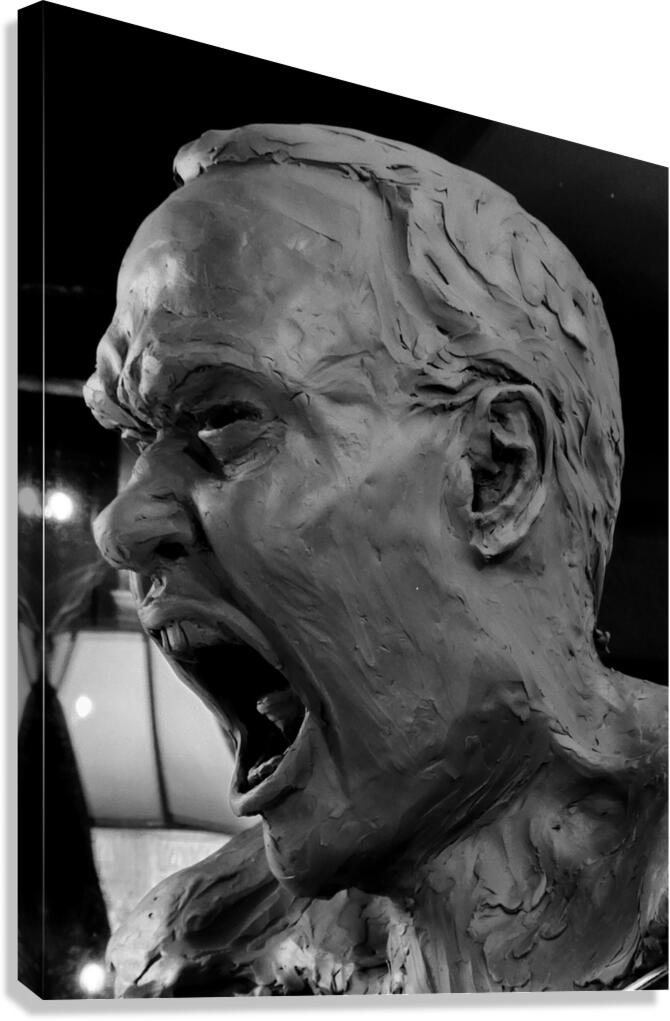 20F1FF 1 Canvas Print