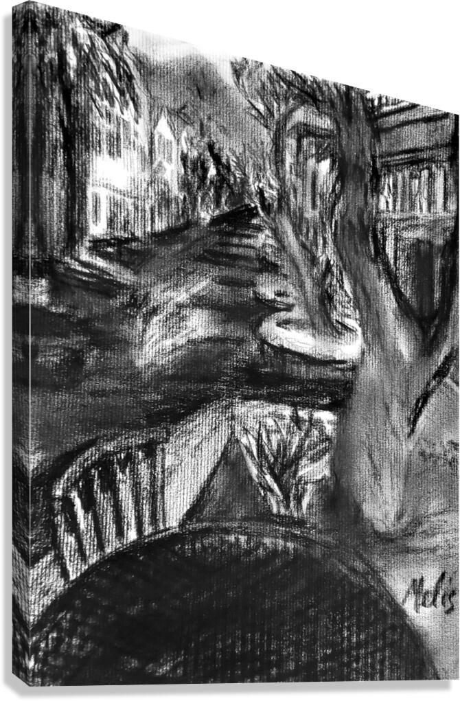 PSX 20240722 171758   Copy Canvas Print