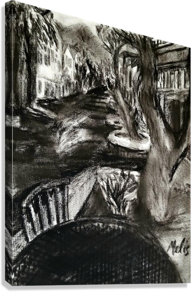 20230923 163721   Copy Canvas Print