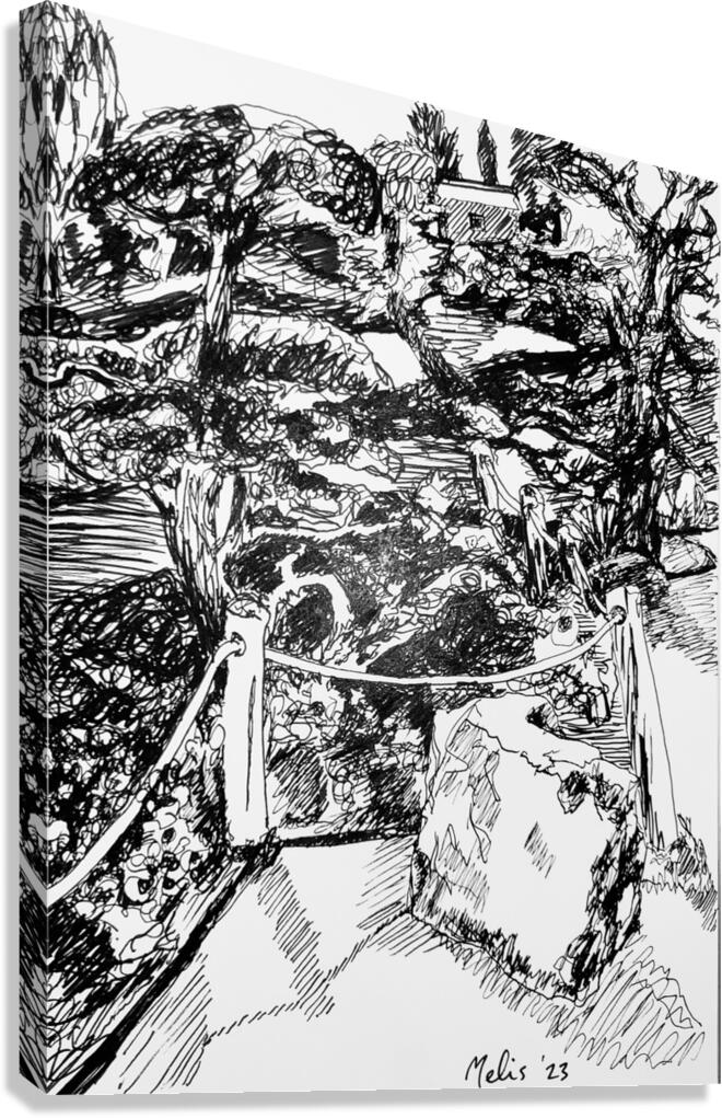 20230202 204734 EDIT   Copy Canvas Print