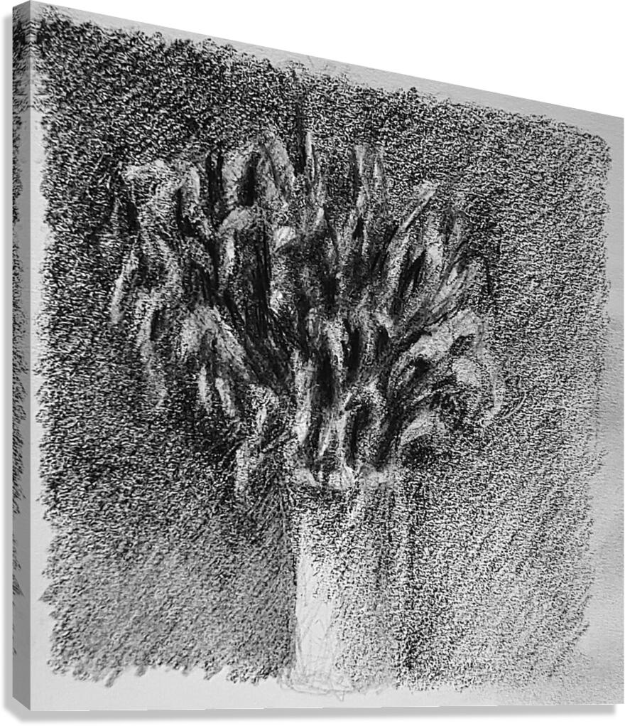 20230716 231718 2   Copy Canvas Print