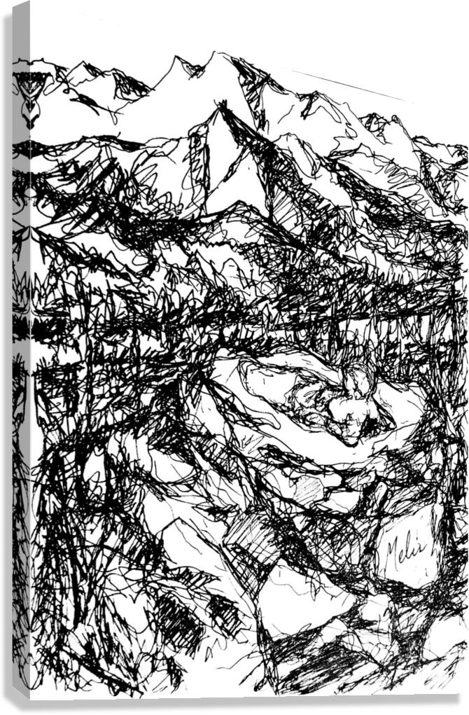 20240107 033706 3 Canvas Print