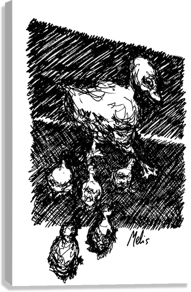 PSX 20240722 181347 Canvas Print