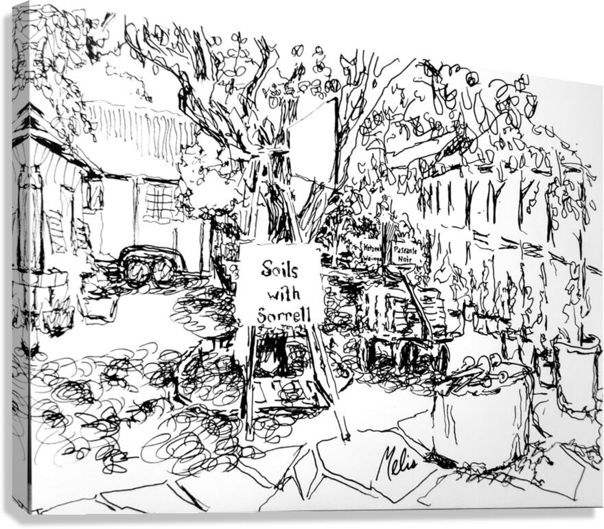 20240511 202804 3 Canvas Print