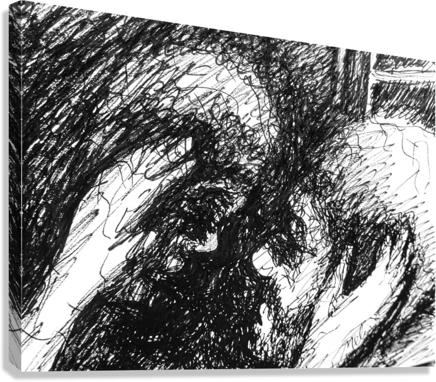 PSX 20241224 180707 Canvas Print