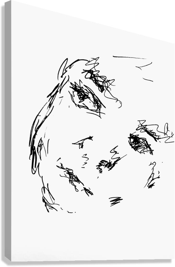 20250103 210826 2 Canvas Print