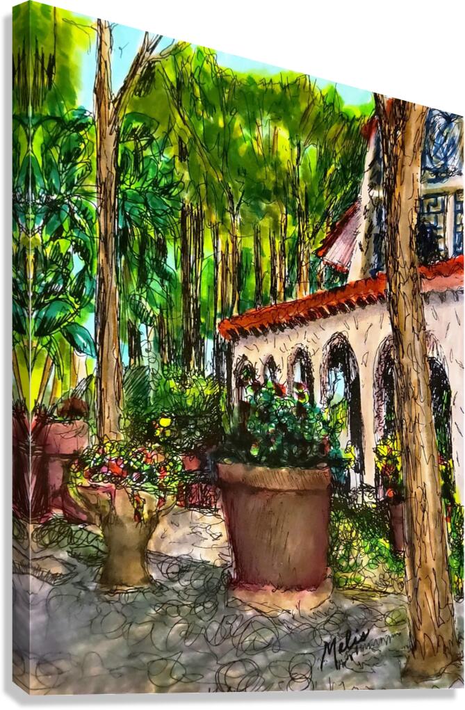 PSX 20250225 221700 Canvas Print