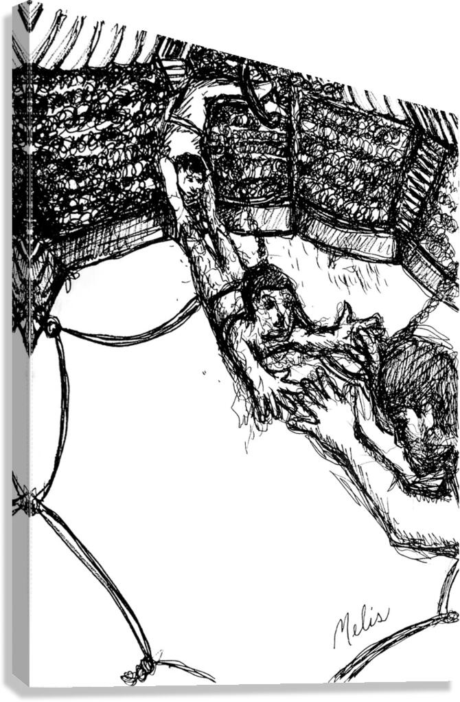 20240625 210059 2 Canvas Print