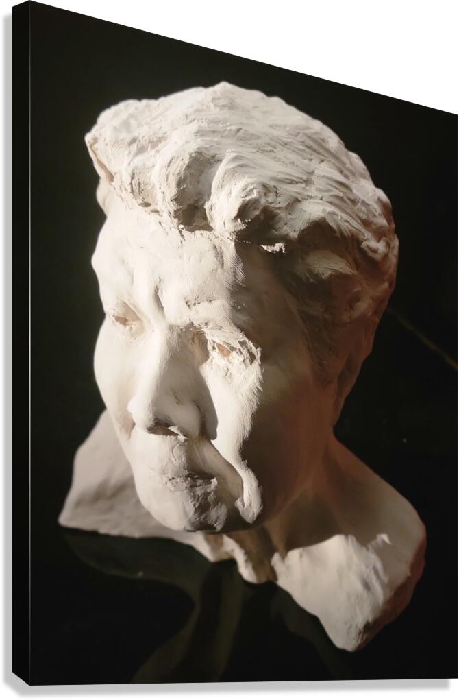 20220803 190543 Canvas Print