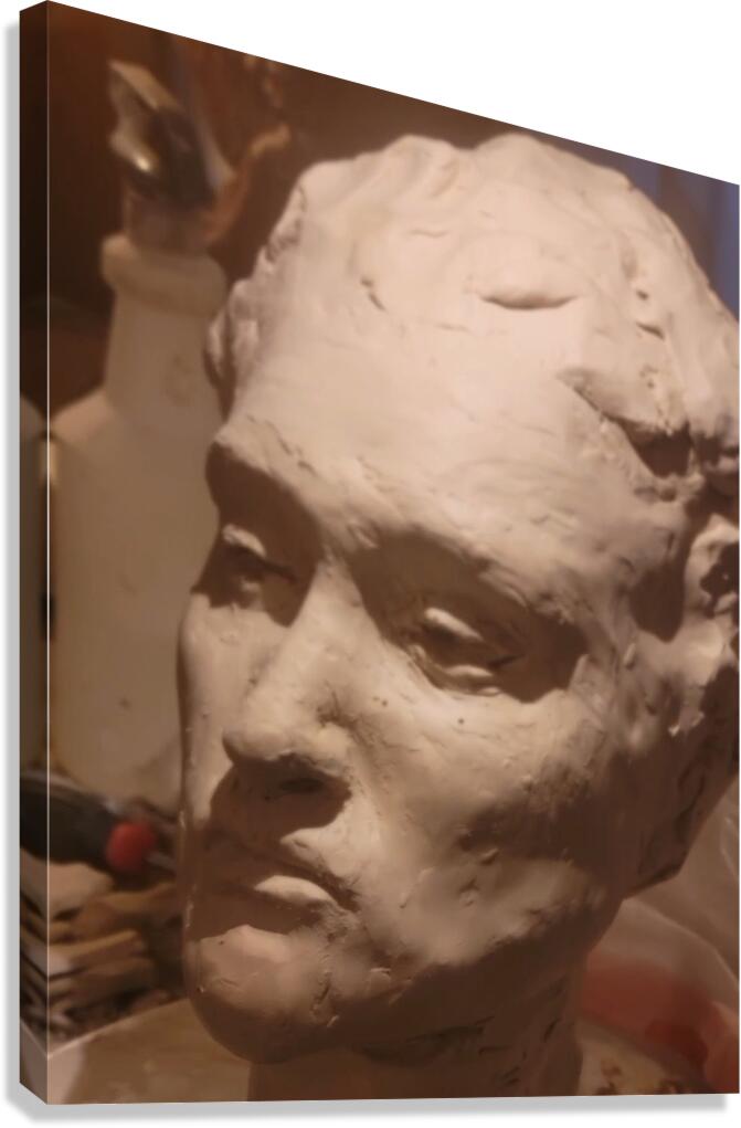 Screenshot 20220521 160006 Gallery EDIT Canvas Print