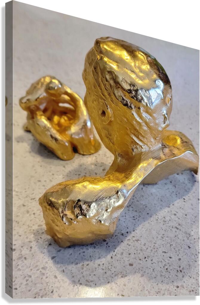 20231031 121613 Canvas Print