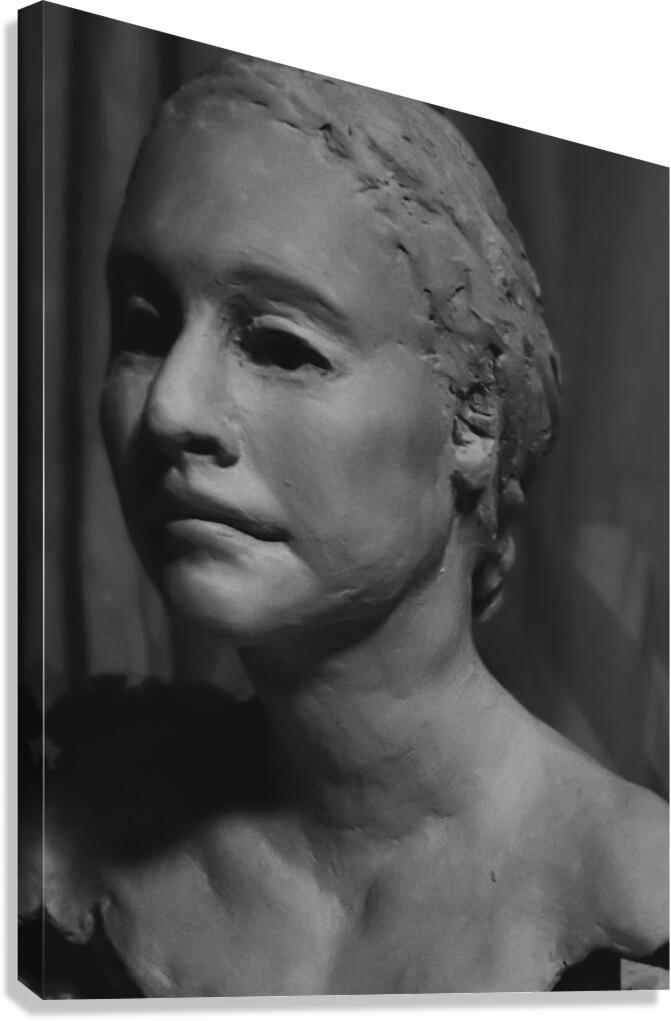 Screenshot 20220512 093315 Gallery 2 EDIT Canvas Print