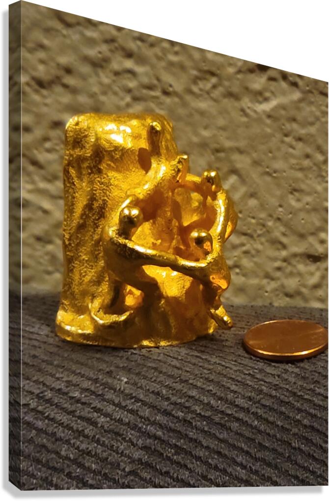 20240203 221318 Canvas Print