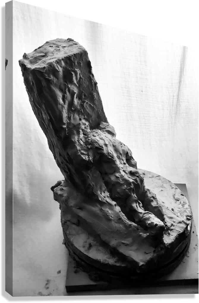 PSX 20250624 224241 Canvas Print