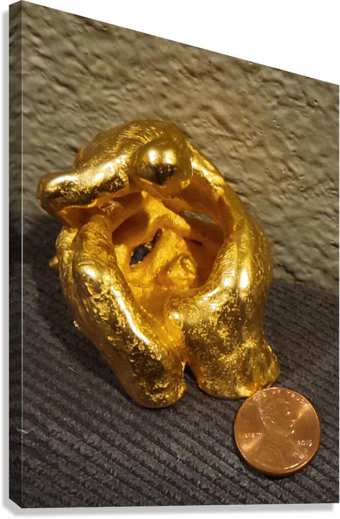 20240203 221442 Canvas Print