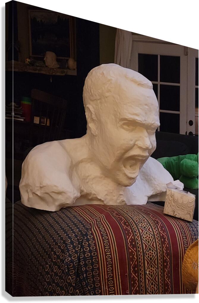 20231206 235031 Canvas Print