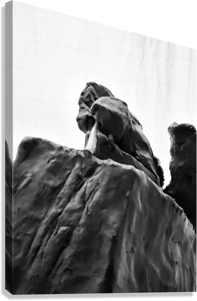 PSX 20250706 204652 Canvas Print