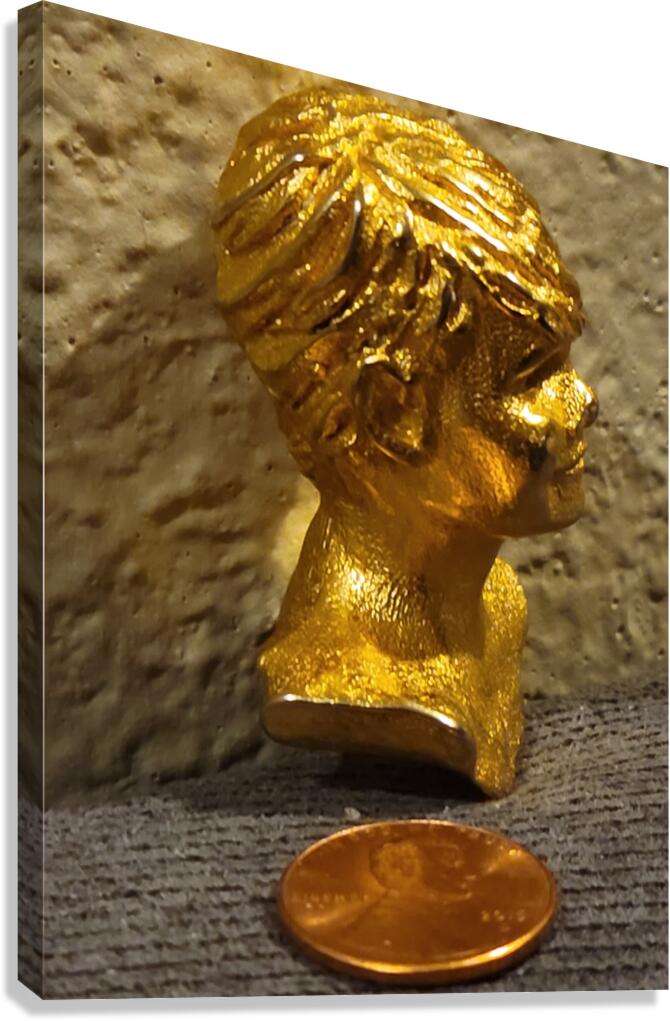 20240203 221622 Canvas Print