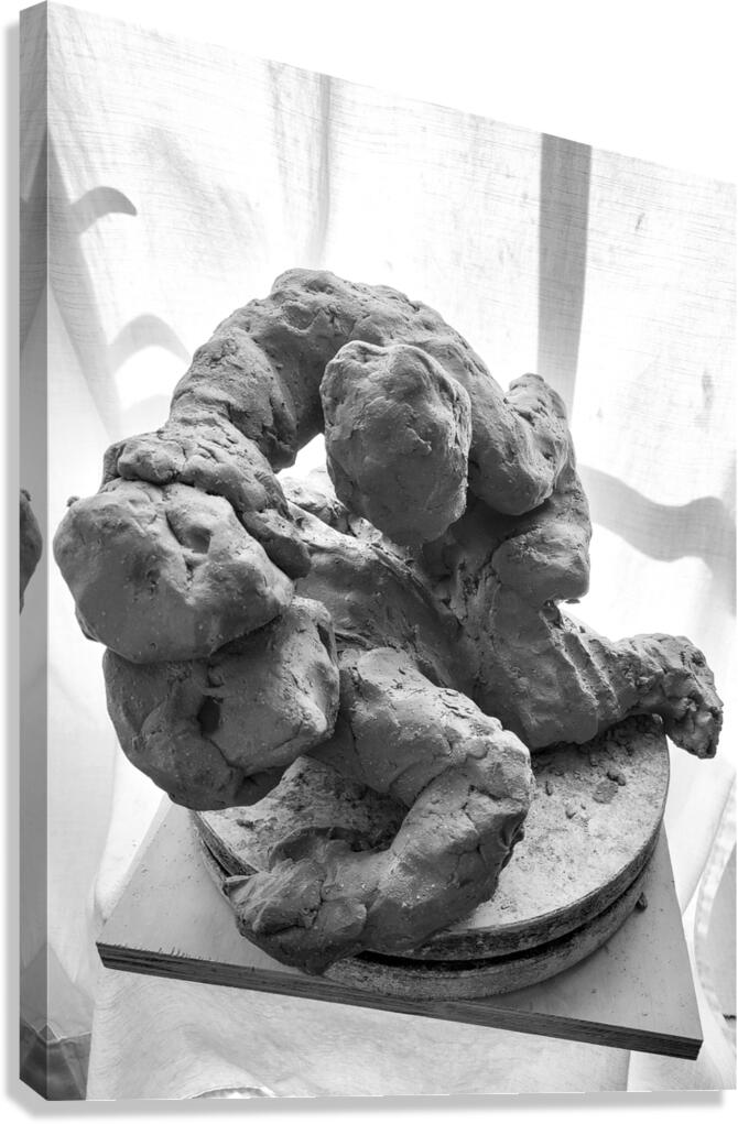 PSX 20250621 082755 Canvas Print