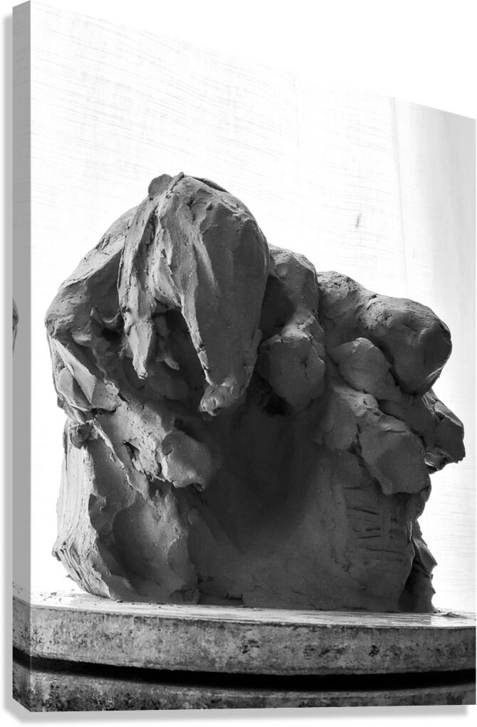 PSX 20250620 164025 Canvas Print