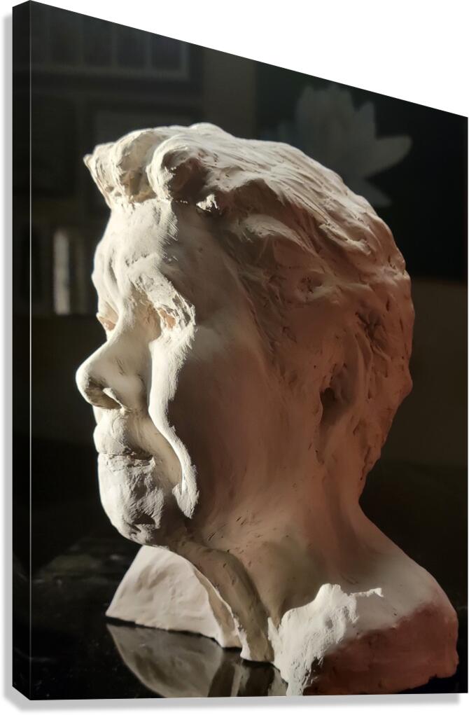 20220803 190523 Canvas Print