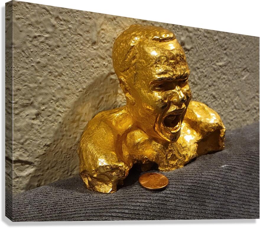 20240203 221850 Canvas Print