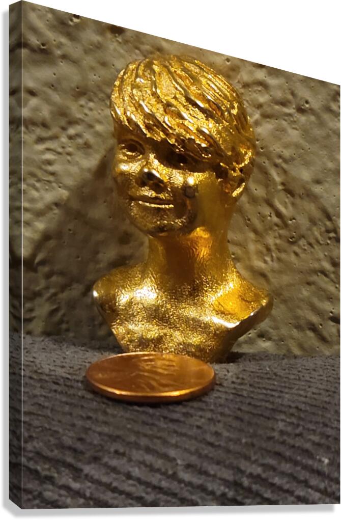 20240203 221532 Canvas Print