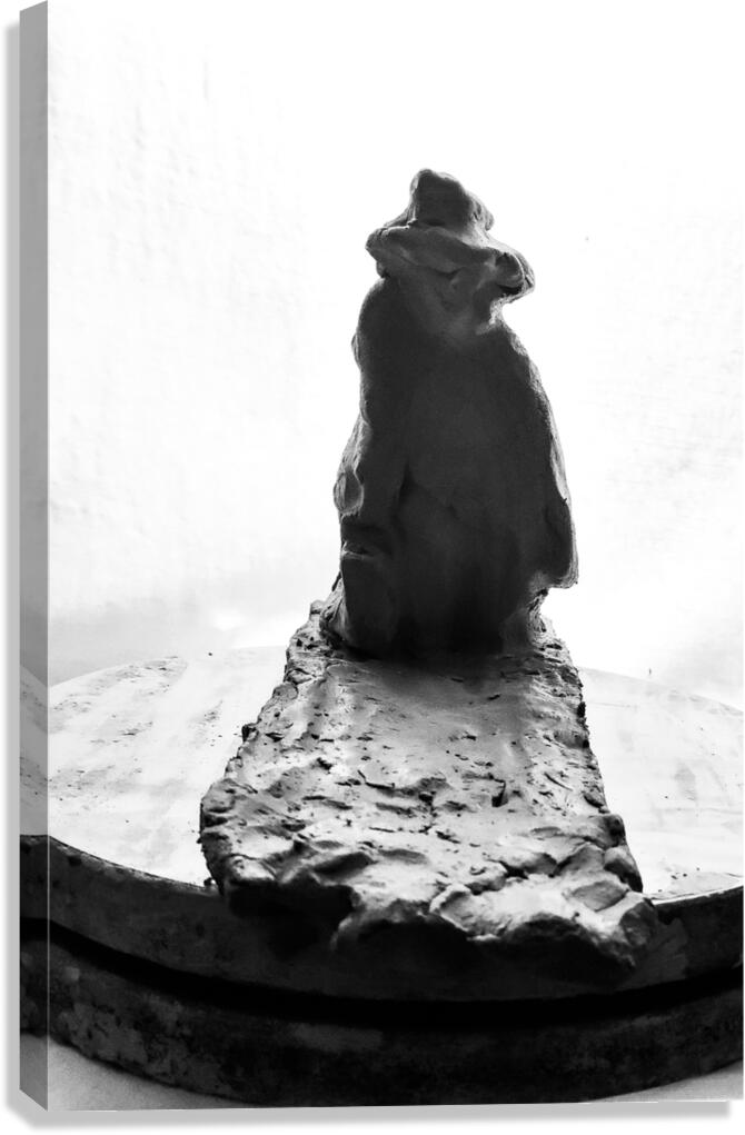 PSX 20250626 002506 Canvas Print