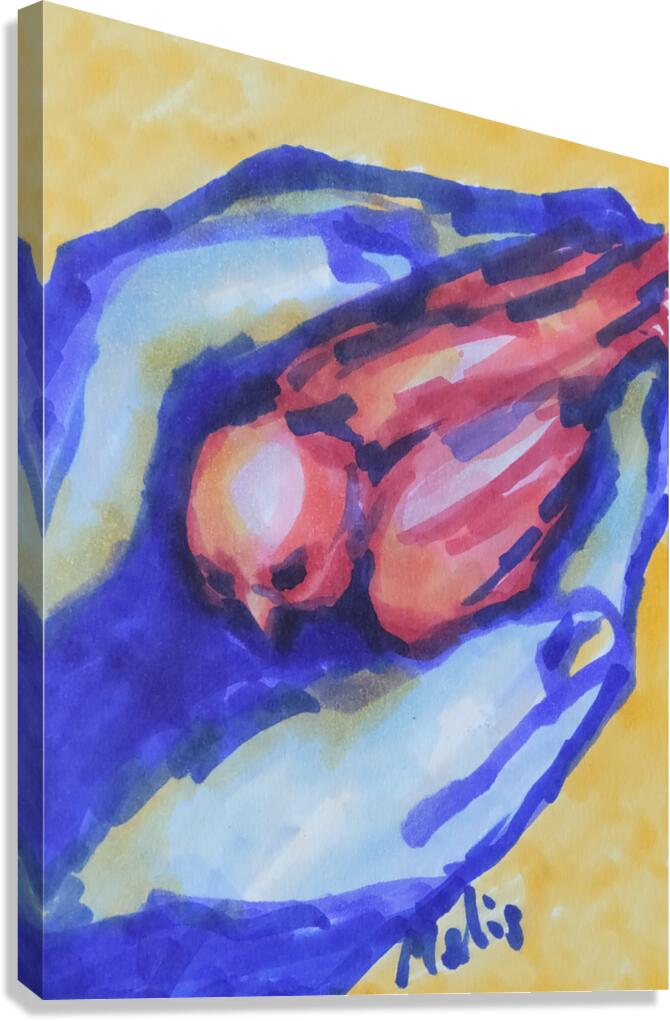 3 by 4 aspect ratio     Hands Hoding Bird     202 Canvas Print
