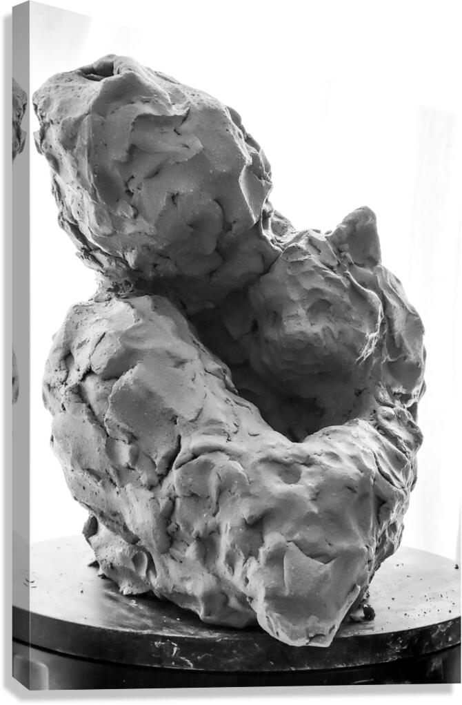 Beloved Companion 1 --- PSX 20250808 180623 Canvas Print