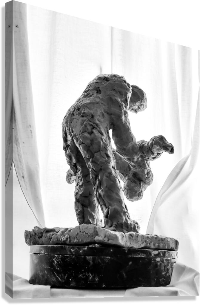 PSX 20250825 121230 Canvas Print